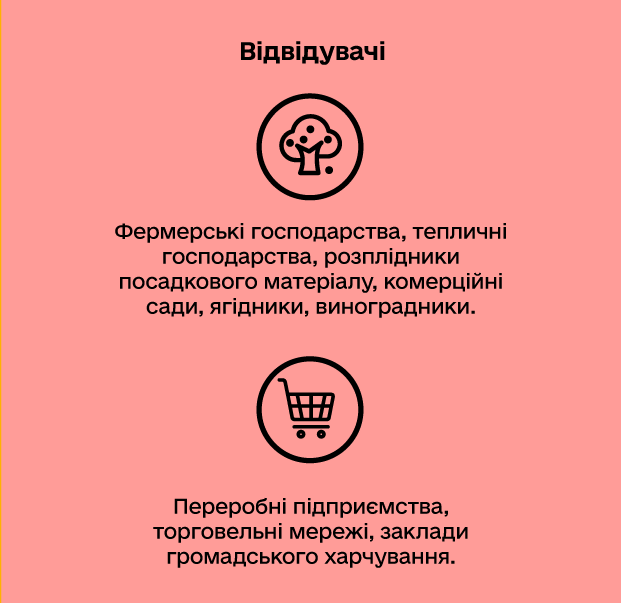 ³��������:   ��������� ������������, �������� ������������, ���������� ����������� ��������, ���������� ����, �������, ������������.  ��������� ����������, ����������� �����, ������� ������������ ����������.